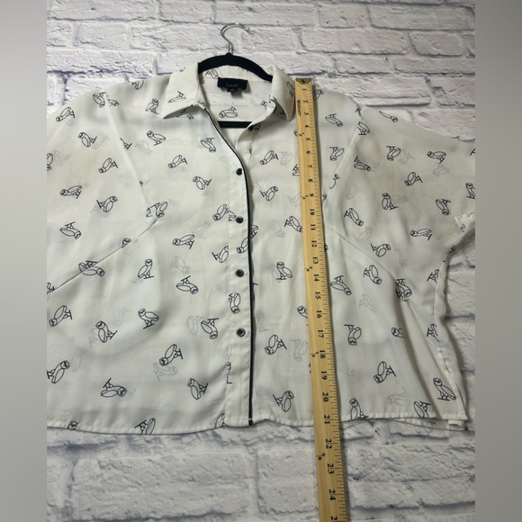 Lumiere White Sheer Shirt with Black Owl Design. Size Small. Whimsigoth. - Picture 6 of 8